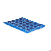 80244 Schulstad Mini Raspberry Crown Danish Pastry Inner Bag