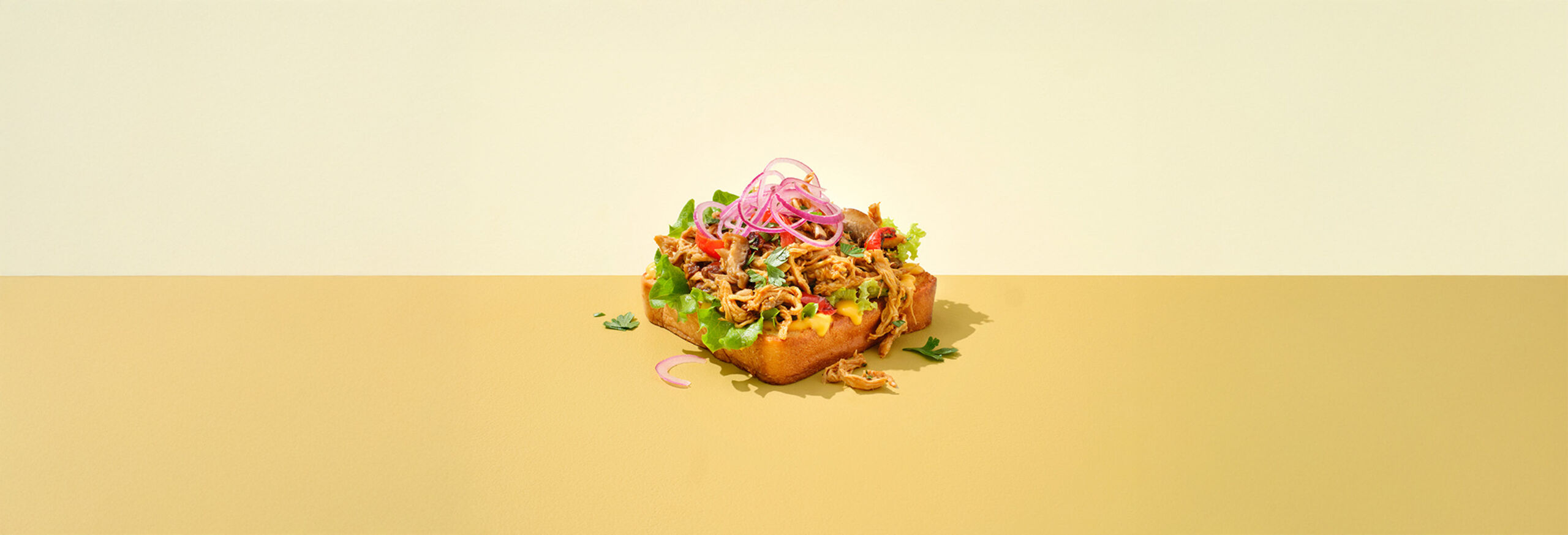 229532_Header Mood_Brioche-style-carre-800g_recept-1-Brioche-enveloppe-met-Pulled-chicken_LIGGEND_LR