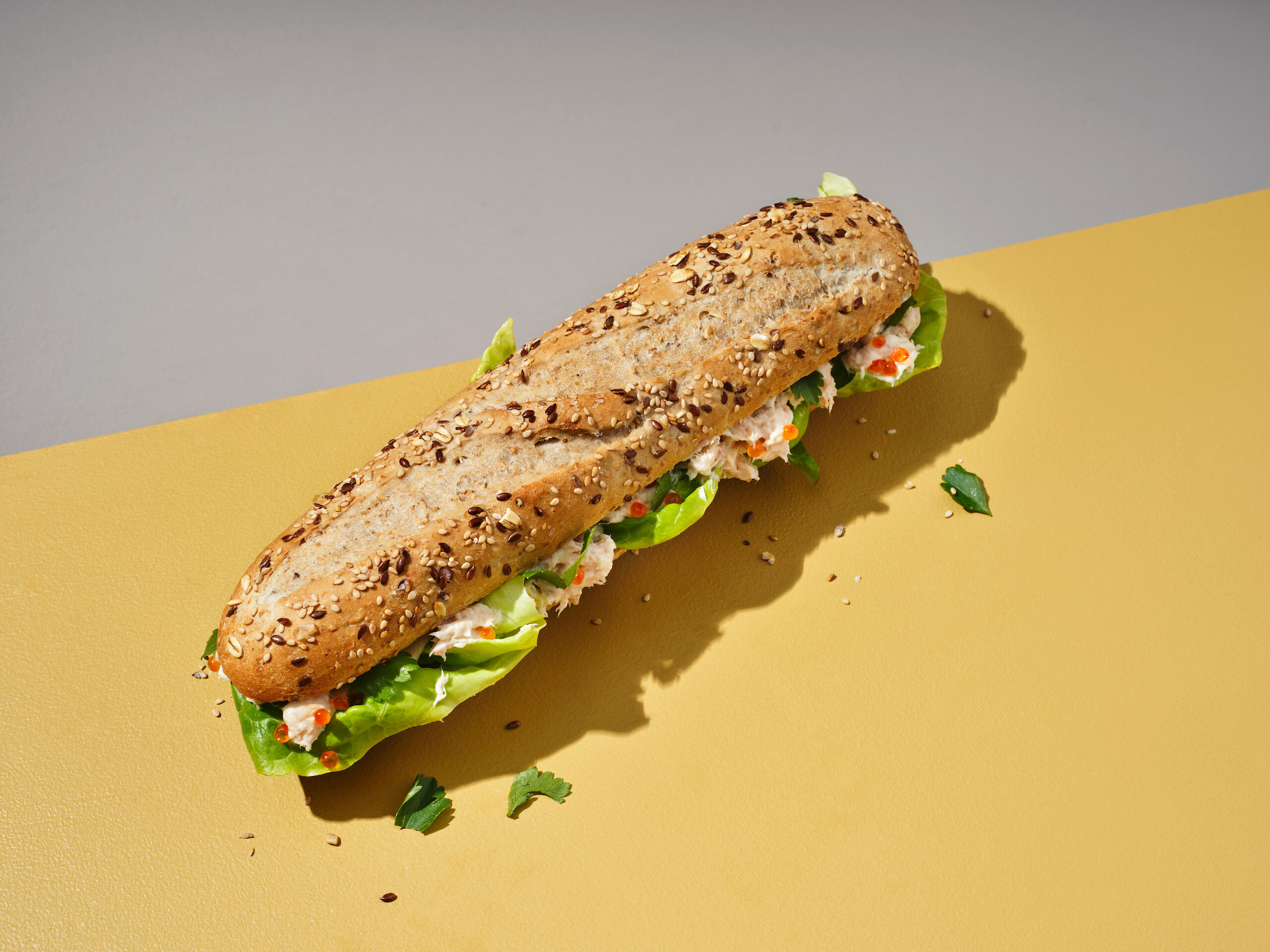 223369_PLUS-FITNESS-HALF-STOKBROOD-26-cm_RECEPT-FITNESS-CHAMPAGNE-FOREL_LIGGEND_DICHT_v1