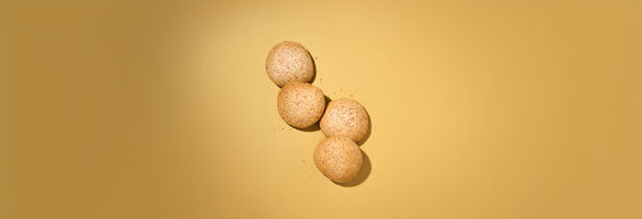 16540003_Moodfoto_Pain Bagnat Bruin Tarwe