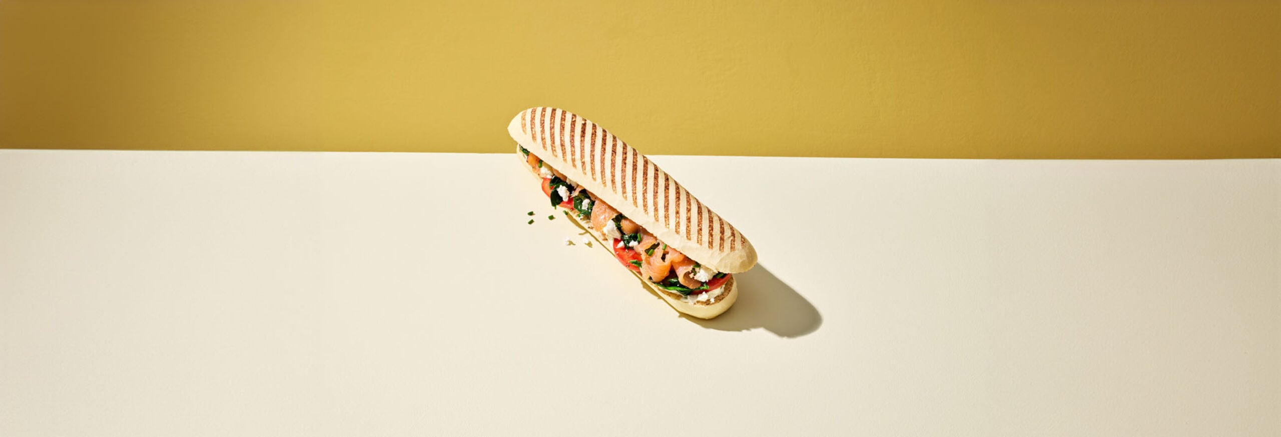 225103_Moodfoto_Panini Naturel Gegrild