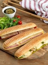 4769451 4744181 4744199 Panini h1