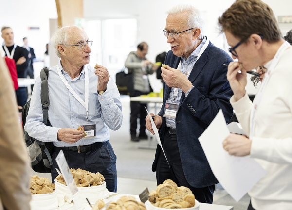participants sampling 