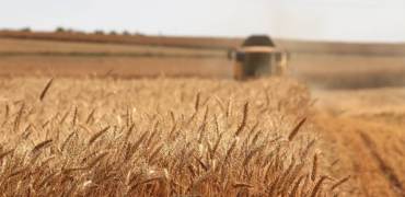 Baking for better Climate